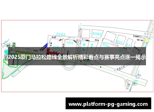 2025厦门马拉松路线全景解析精彩看点与赛事亮点逐一揭示
