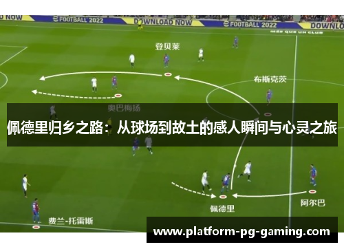 佩德里归乡之路:从球场到故土的感人瞬间与心灵之旅