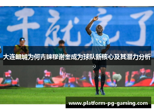 大连鲲城为何青睐穆谢奎成为球队新核心及其潜力分析