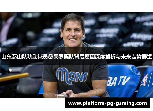 山东泰山队功勋球员桑德罗离队背后原因深度解析与未来走势展望