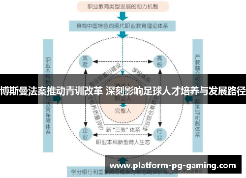 博斯曼法案推动青训改革 深刻影响足球人才培养与发展路径