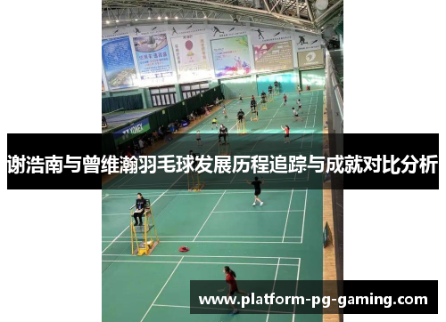 谢浩南与曾维瀚羽毛球发展历程追踪与成就对比分析