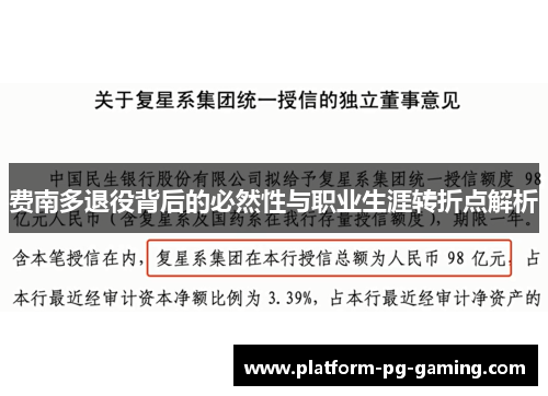 费南多退役背后的必然性与职业生涯转折点解析 费南多退役背后的必然性与职业生涯转折点解析