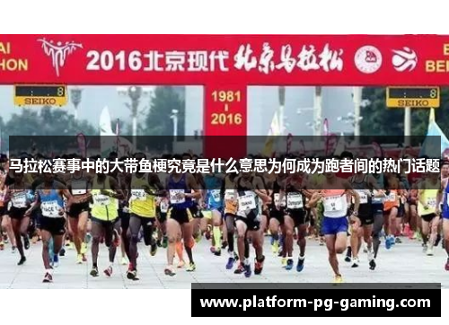马拉松赛事中的大带鱼梗究竟是什么意思为何成为跑者间的热门话题